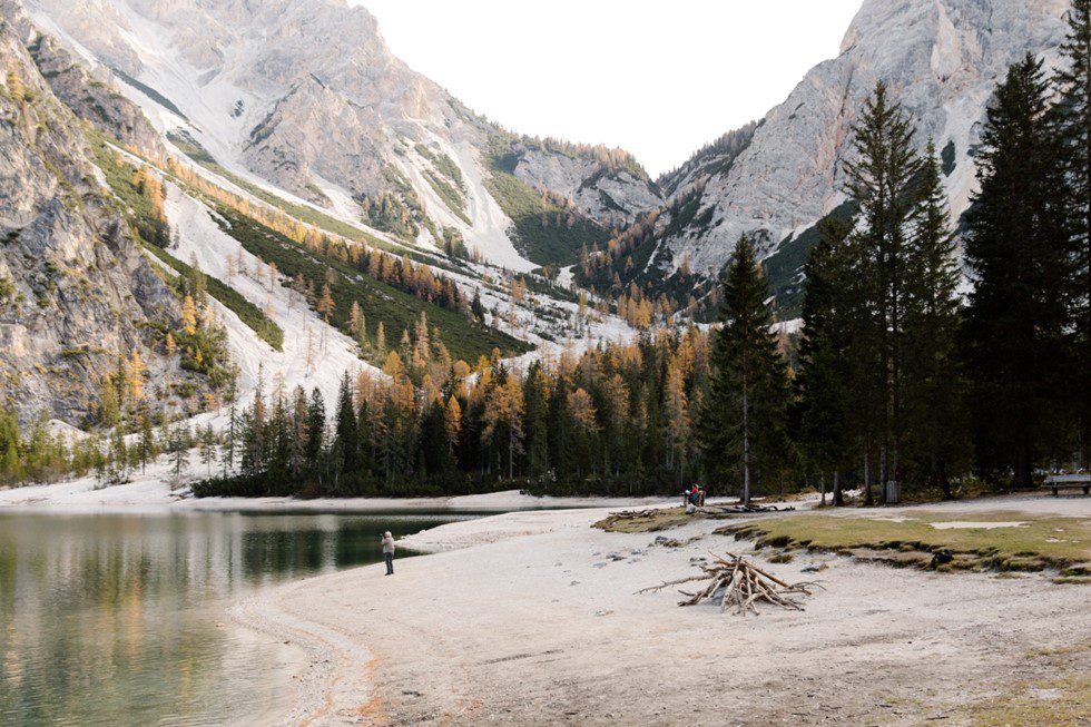 beautiful view of mountains and trees